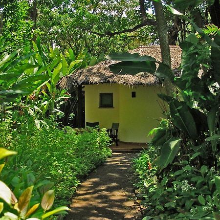 Moivaro Coffee Lodge Αρούσα Εξωτερικό φωτογραφία