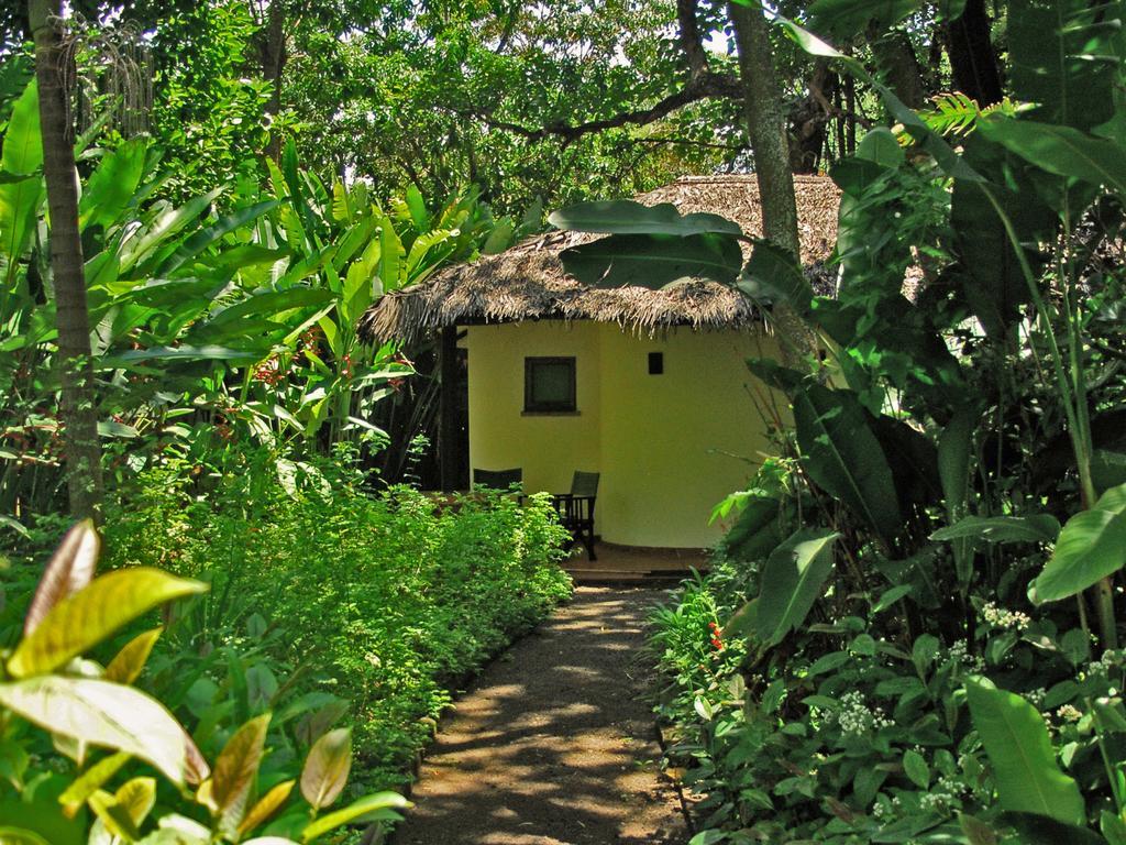 Moivaro Coffee Lodge Αρούσα Εξωτερικό φωτογραφία