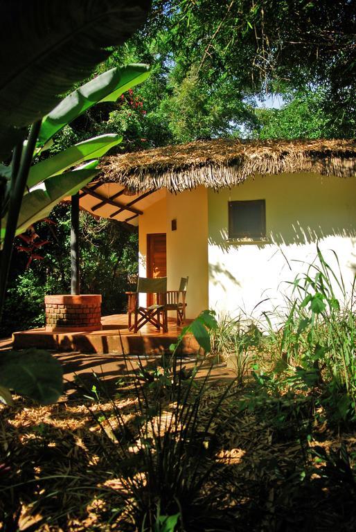 Moivaro Coffee Lodge Αρούσα Δωμάτιο φωτογραφία